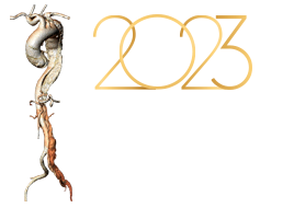 TEAR BOLOGNA 2023 Logo
